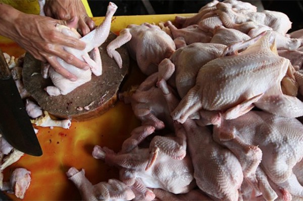 US poultry exporters struggle with South Africa's empowerment provisos
