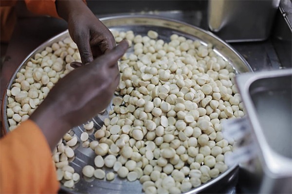 Kenya: Textile exports to the US stagnate, but macadamia exports up