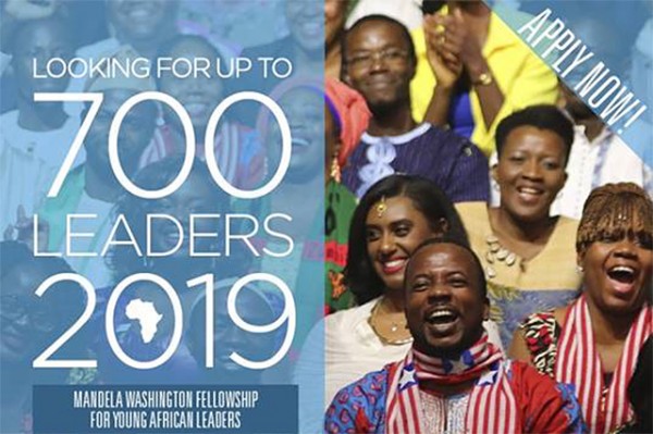 2019 Mandela Washington fellowship for young African leaders