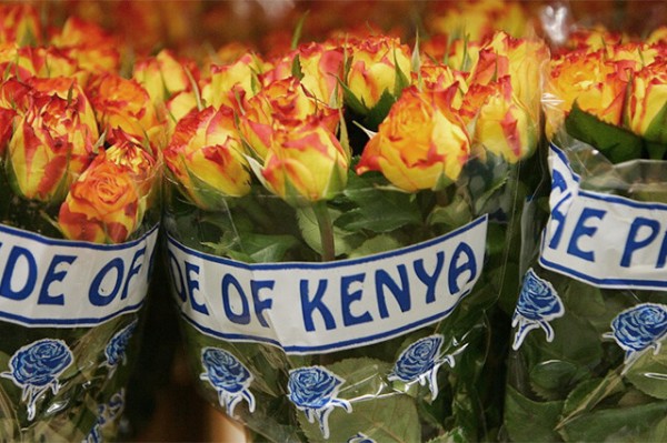 Kenya looks beyond apparel to double earnings from AGOA