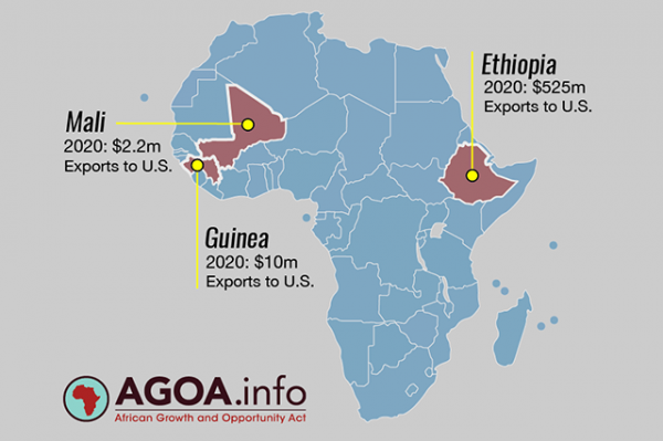 US to suspend Ethiopia, Guinea and Mali from AGOA in 60 days