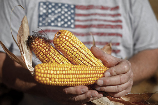 America-based corn lobby urges Biden to prioritise Kenya trade pact