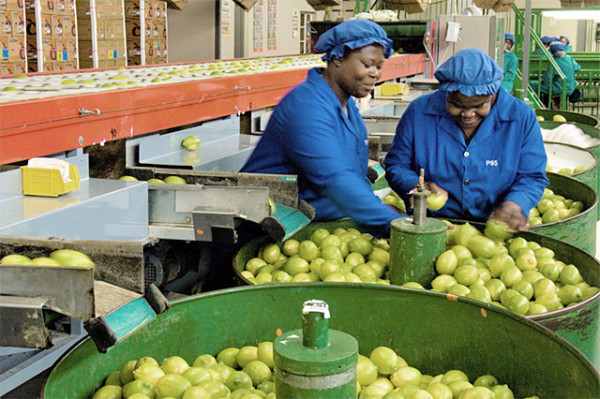 South African lemon juice producers may be slapped with anti-dumping duties, if a petition in the US succeeds