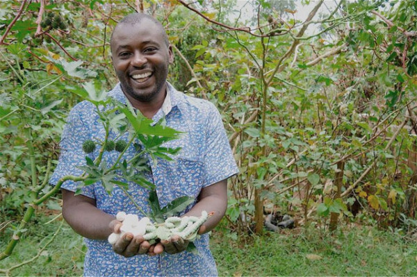 Kenya: Farmers tapping into lucrative silk farming for export