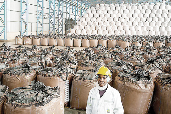 Eswatini exports 26 thousand tons of sugar to the US