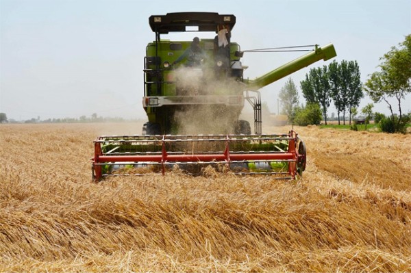 Kenya, US talks shift to agriculture