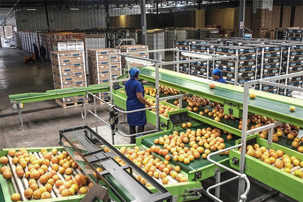AGOA bill good news for South Africa's citrus growers