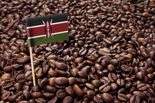Kenya Gearing for Processed Coffee Exports under AGOA