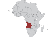 Angola - United States (TIFA)