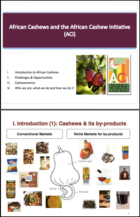 African cashews and the African Cashew Initiative (ACI)