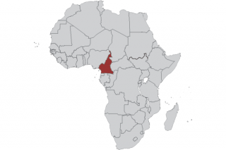 Cameroon - United States (BIT)