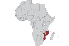 Mozambique - United States (TIFA)