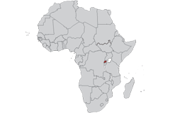 Rwanda - US (TIFA)