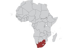 South Africa - United States (TIFA)