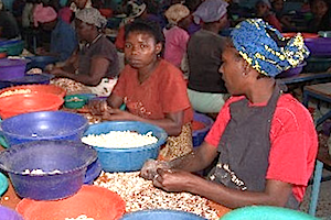 Tobacco, cashew nuts Tanzania's potential AGOA export bailout