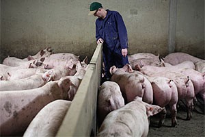 South Africa market still closed to US pork