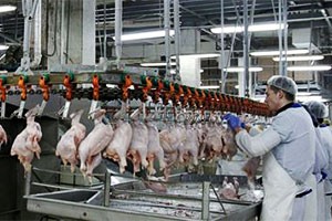 SA 'was not restricting poultry imports from the US' - SA official