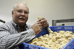 Astral boss sees problems for SA poultry sector
