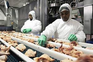South Africa and US agree on terms for US poultry import