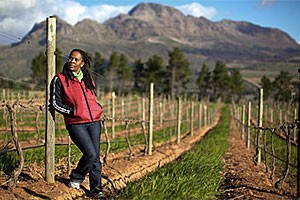 South African farmers brace for pain as US trade deal unravels