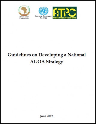 DOWNLOAD: Guidelines on developing a national AGOA strategy