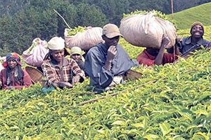 Rwanda: Exporters urged to take advantage of AGOA